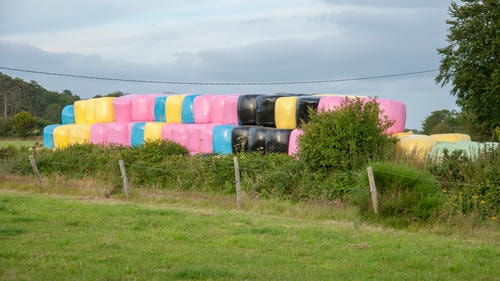 Colorful_Fucking_Haybales_(Im_Loosing_My_Sanity)