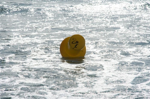 Floating_Water_Marker_Thing_Scenic