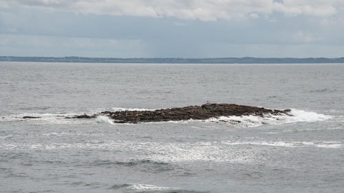 Rock_Island_Thing_in_Ocean