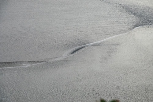 The_Flood_is_Coming_5