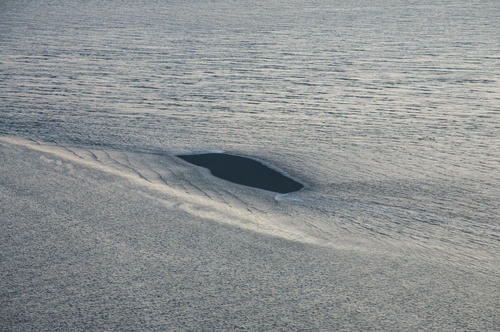 The_Flood_is_Coming_7