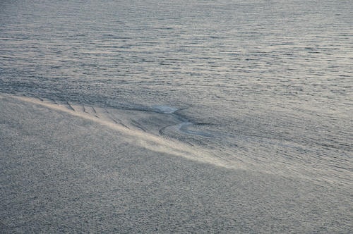 The_Flood_is_Coming_8